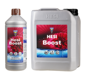 HESI Boost