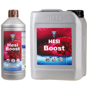 HESI Boost