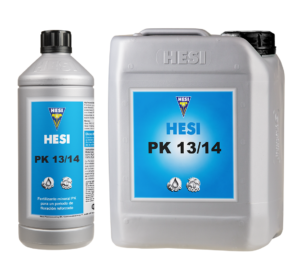 HESI PK 13/14