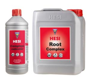 HESI Complejo Radicular