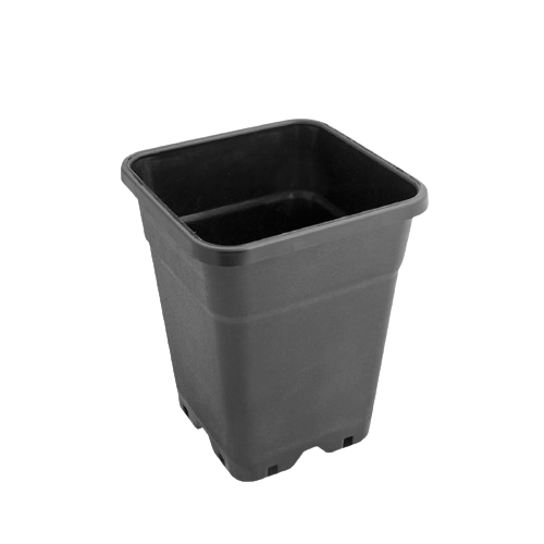 Maceta Cuadrada