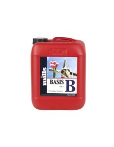 MILLS Basis B