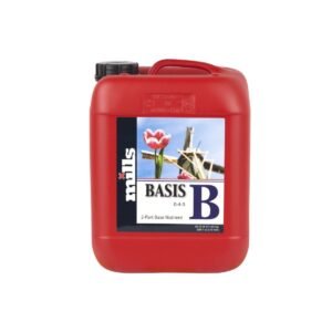 MILLS Basis B