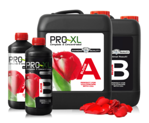 PRO-XL Bloom A&B