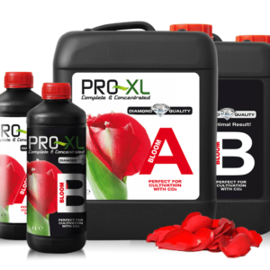 PRO-XL Bloom A&B