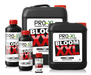 PRO-XL Bloom XXL