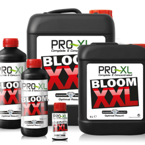 PRO-XL Bloom XXL