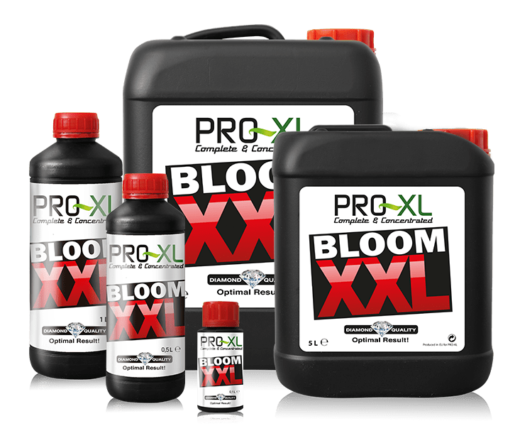 PRO-XL Bloom XXL