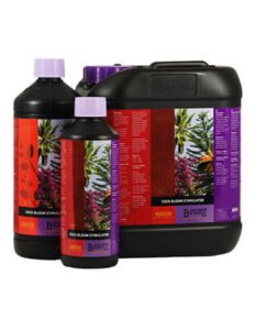 ATAMI B’CUZZ Coco Bloom Stimulator