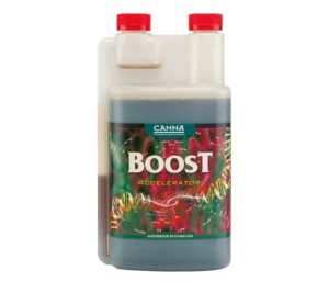 CANNA BOOST Accelerator